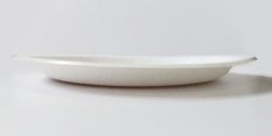 画像3: 日本製 耐水耐油 紙皿 ウルトラプレート26cm 12枚