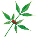 プラ造花・飾り 南天大 N-3 100本